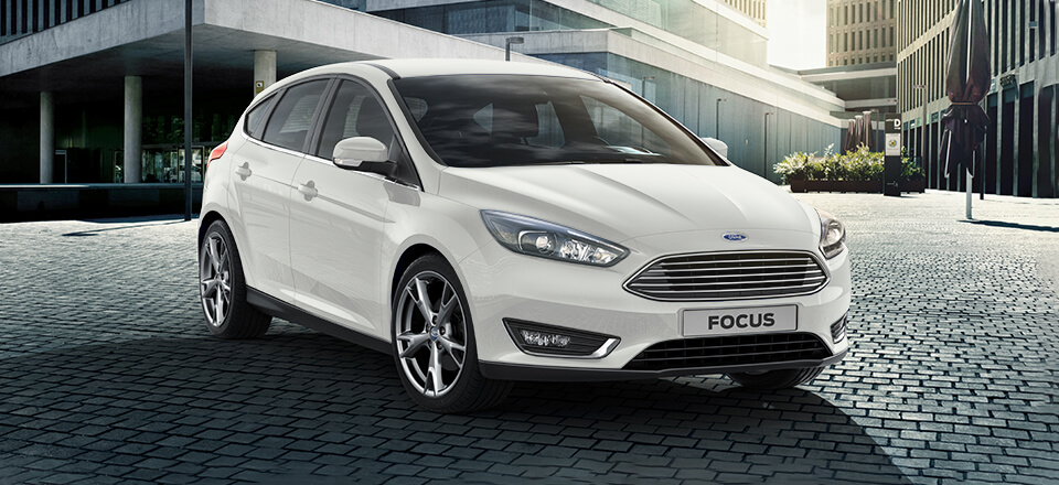 Focus Frozen White